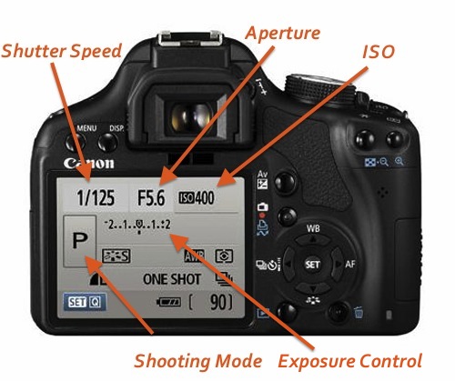 photography basics dslr