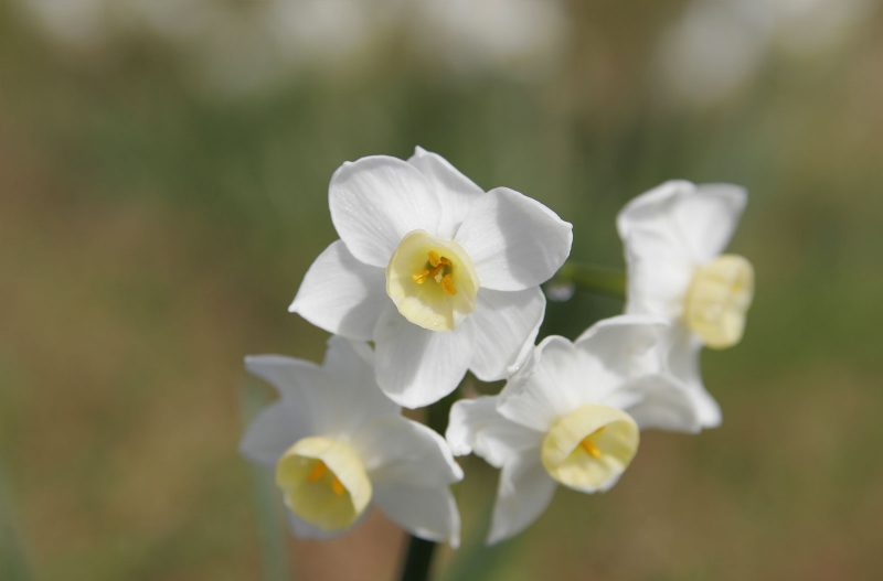 4th Course - Aperture And Depth Of field