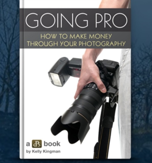 Going Pro– eBook Format