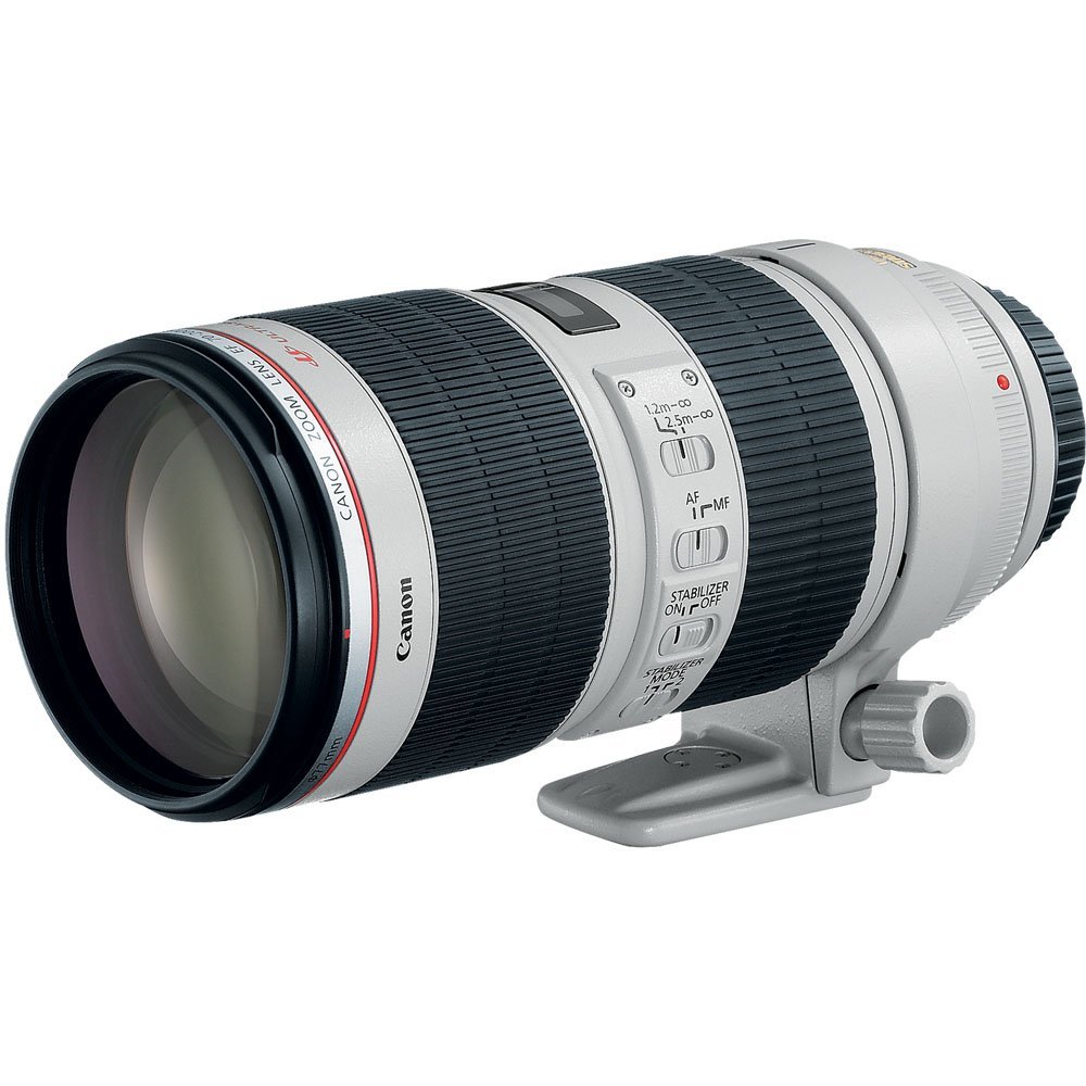 Canon 70-200mm F 2.8