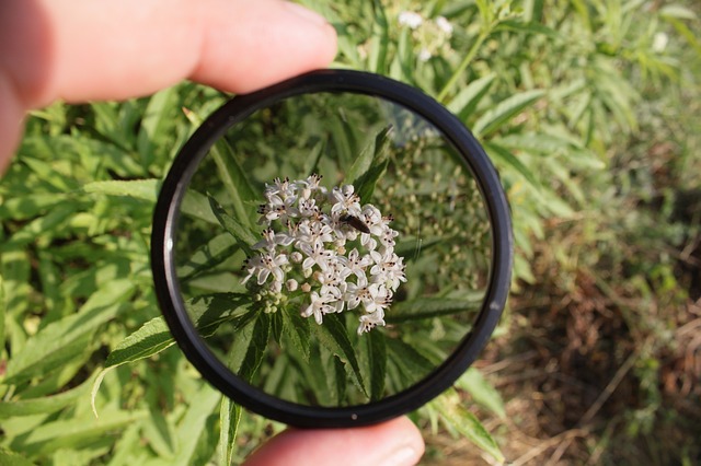 Camera Lens Filters Explained