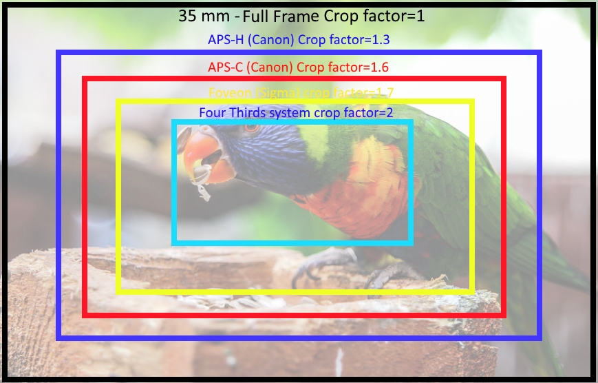 full frame sensor size versus four thirds