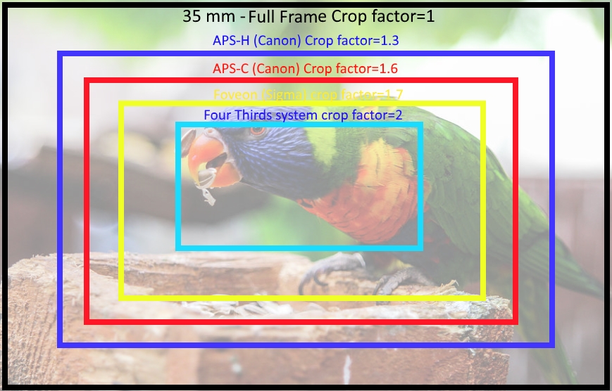 35mm full frame sensor size