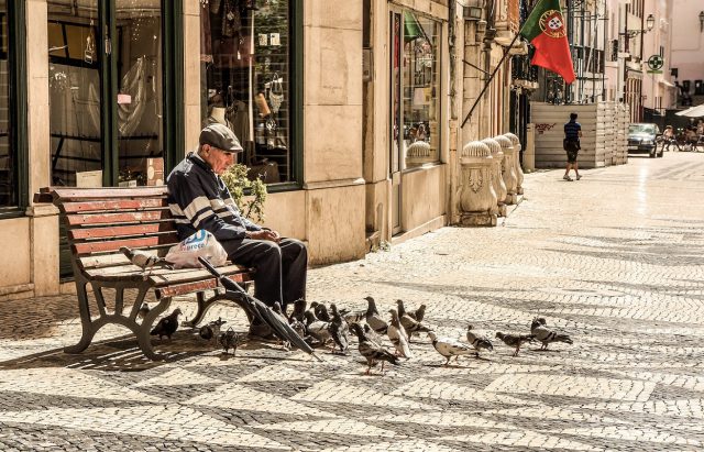 old man feeding birds