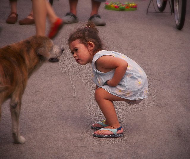 a girl and a dog