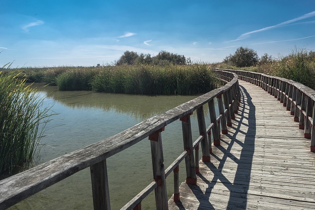 A brdge - landscape