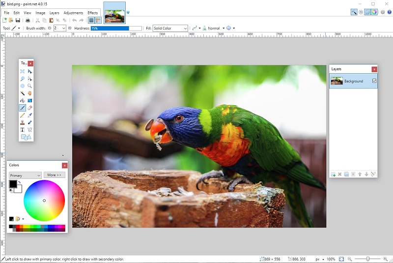 paint net online photo editing