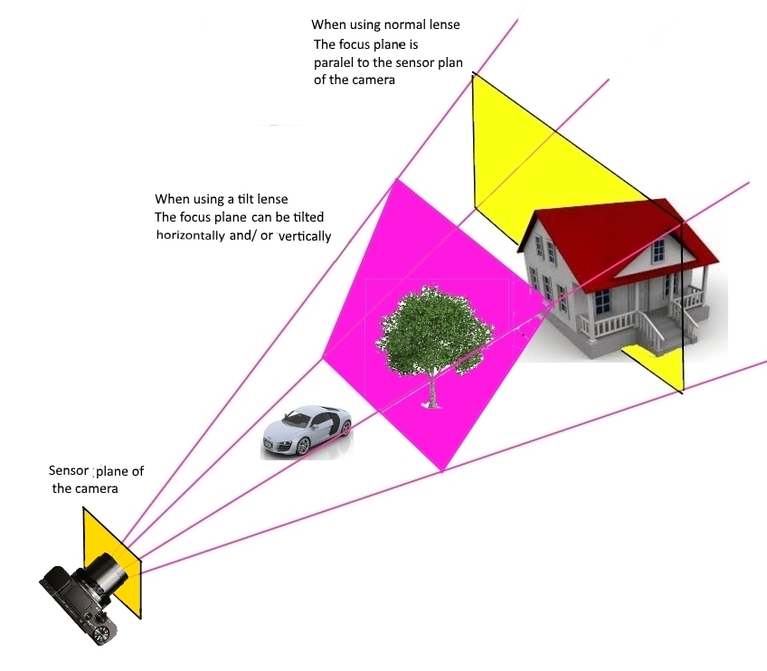 What is The Tilt Shift Lens Your Ultimate Guide
