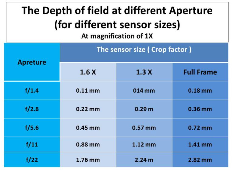 The Macro Lenses Explained Samples Recommendations The Macro Lenses Explained Samples Recommendations