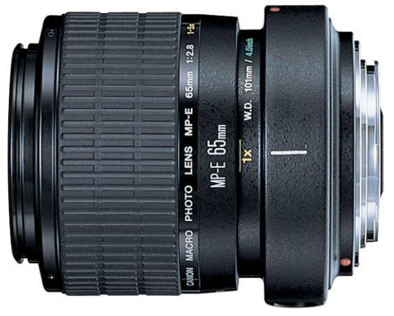 Canon MP-E 65mm f/2.8 1-5X