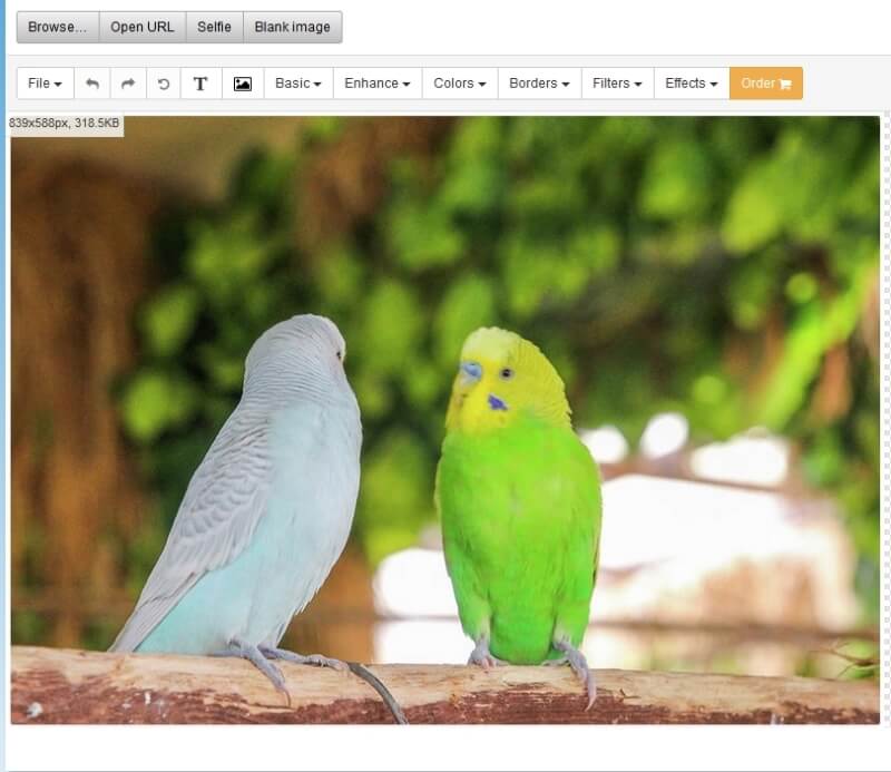 online photo editor