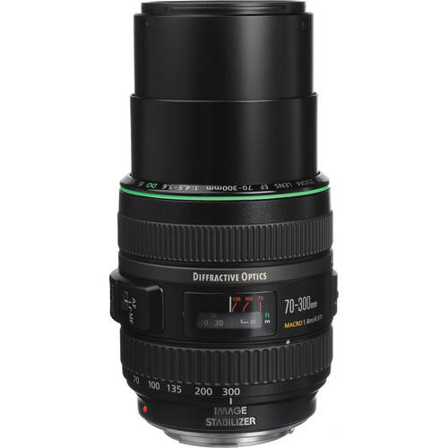 Canon EF 70-300mm F4.5-5.6 DO IS USM lens Review - Ehab Photography