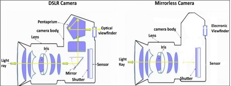 Difference between DSLR and Mirrorless Cameras