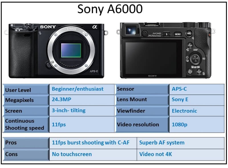 Sony alpho a6000