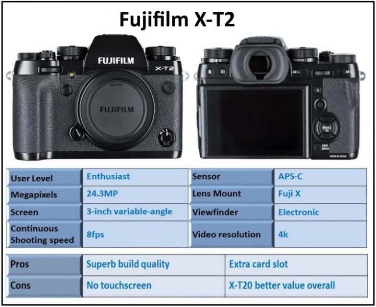 Top Rated Mirrorless Cameras Ehab Photography