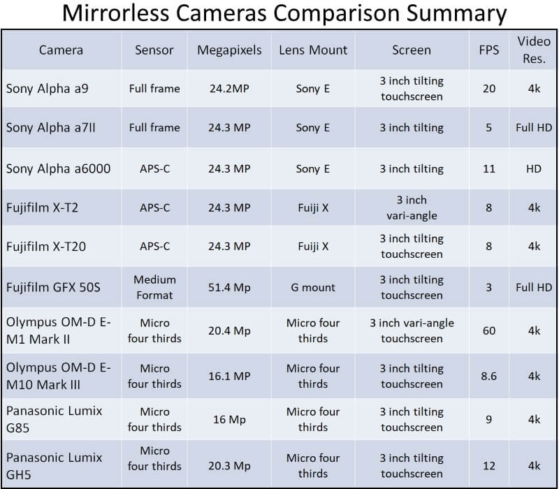 Mirrorless cameras Summary 