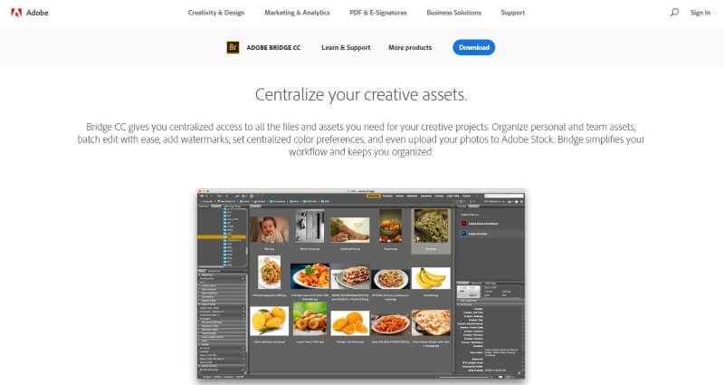 Adobe Bridge CC