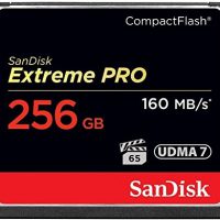 SanDisk Extreme PRO 256GB CompactFlash Memory Card UDMA 7 Speed Up To 160MB