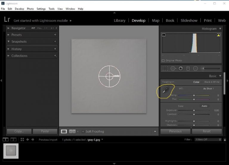 How to Use Gray Card to Get Proper Exposure and Color
