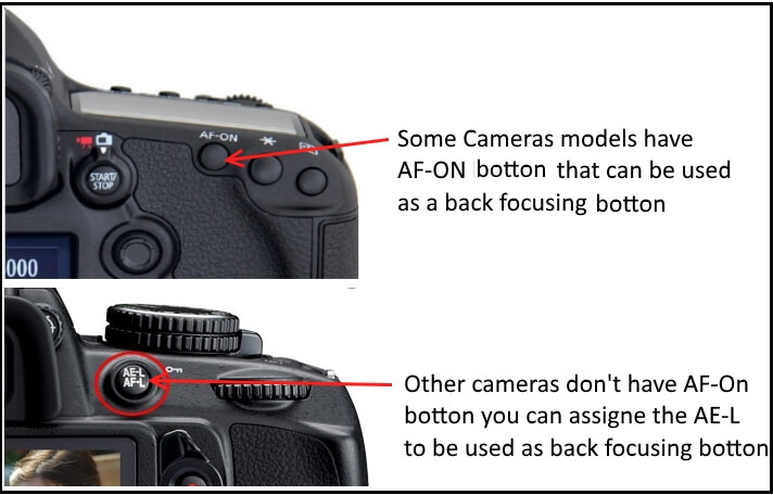 canon 7d back button focus