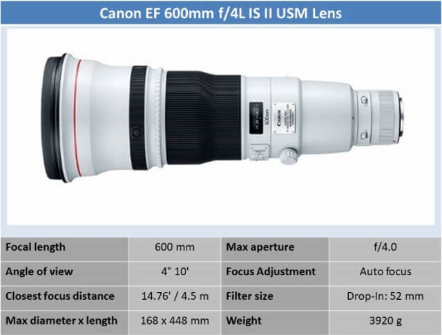 Canon EF 600mm f/4L IS II USM Lens