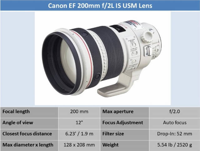 best canon lens for sports