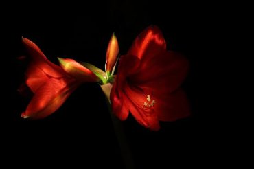 light painting