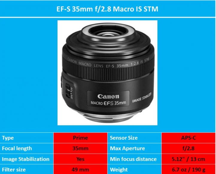 Best Macro Lenses for Canon Ehab Photography