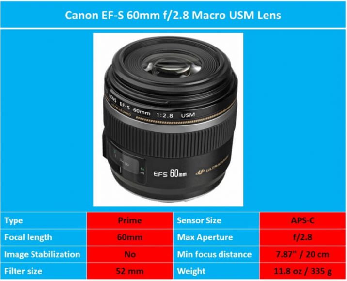 Best Macro Lenses for Canon Ehab Photography