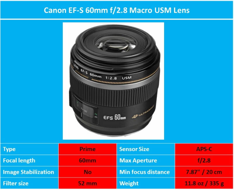 Canon EF-S 60mm F/2.8 Macro USM Lens