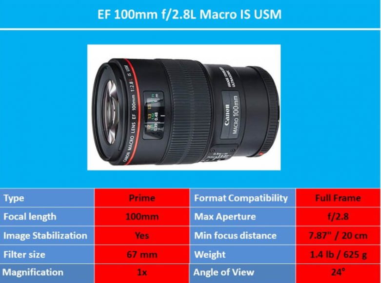 Best Macro Lenses for Canon Ehab Photography