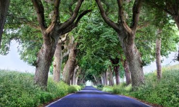 photography symmetry
