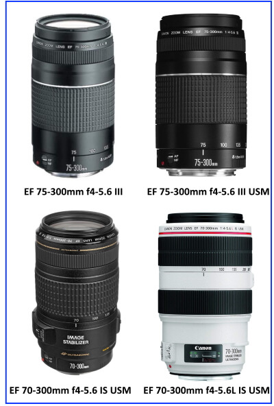 Camera Lenses Buying Guide- How to Choose the Right Lens for your Camera