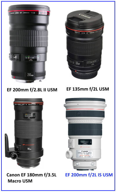 Camera Lenses Buying Guide- How to Choose the Right Lens for your Camera