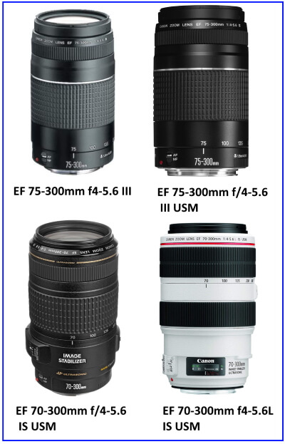 Camera Lenses Buying Guide- How to Choose the Right Lens for your Camera