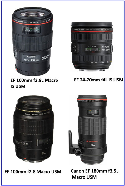 Camera Lenses Buying Guide- How to Choose the Right Lens for your Camera