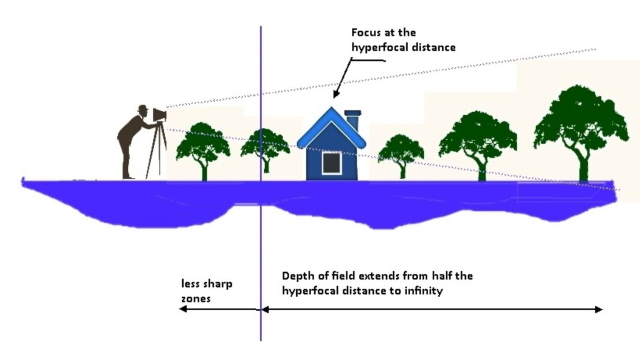 hyperfocus definition