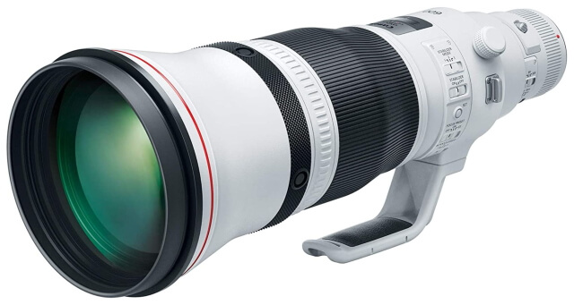 best Canon lenses for bird photography