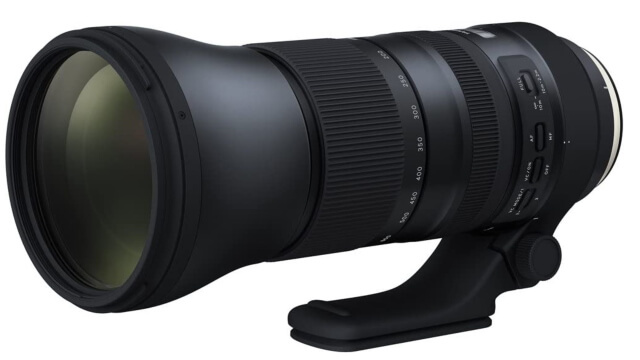 best Canon lenses for bird photography