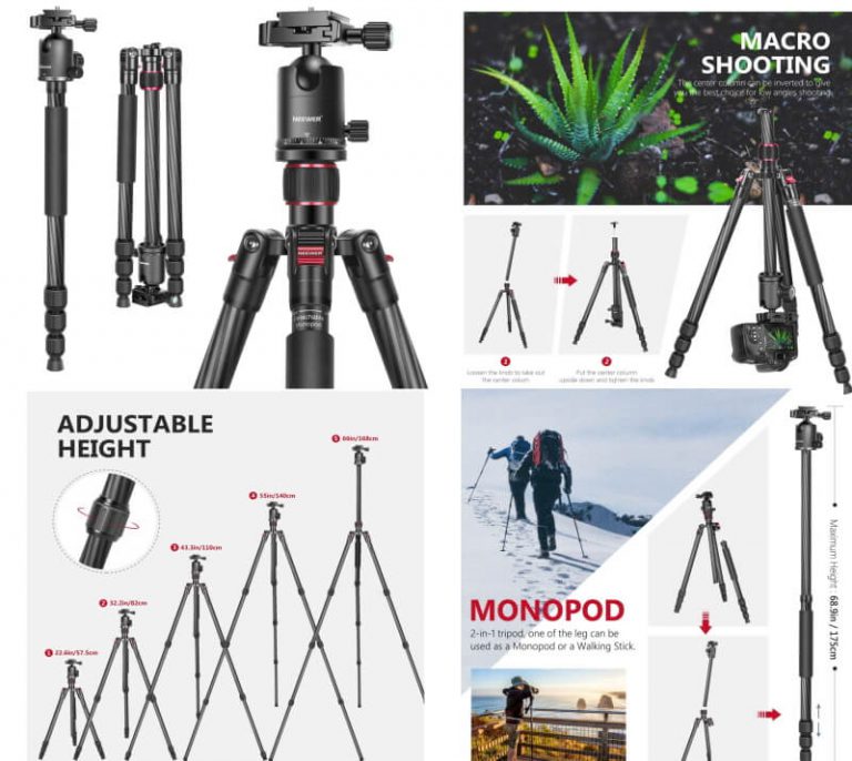 Best Tripods For Beginners Ehab Photography