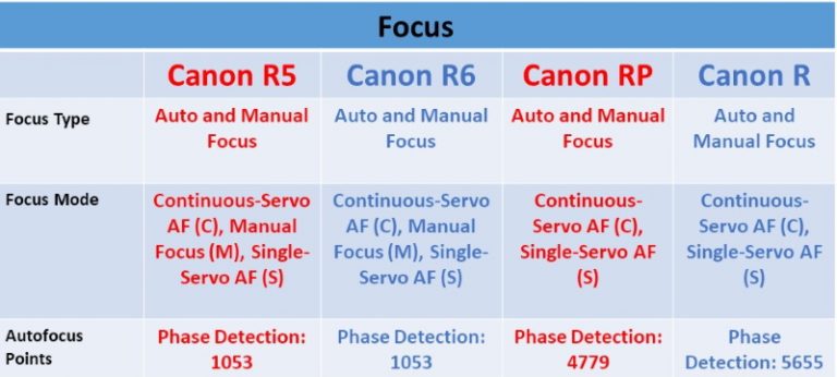 Canon Mirrorless Cameras Compared - Ehab Photography