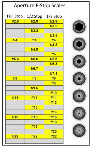 Best Nikon Vintage Lenses - The Top 5 List!