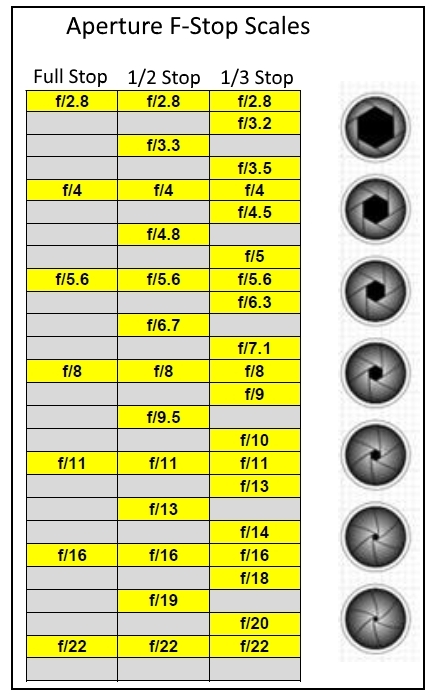 Best Nikon Vintage Lenses