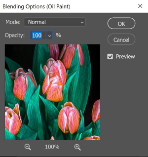 Turn a Photo into Oil Painting in Photoshop