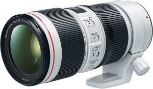 Best Canon lenses for portrait photography