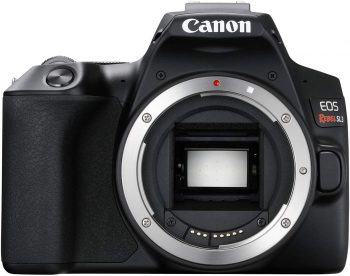 what is the best DSLR camera for a beginner?