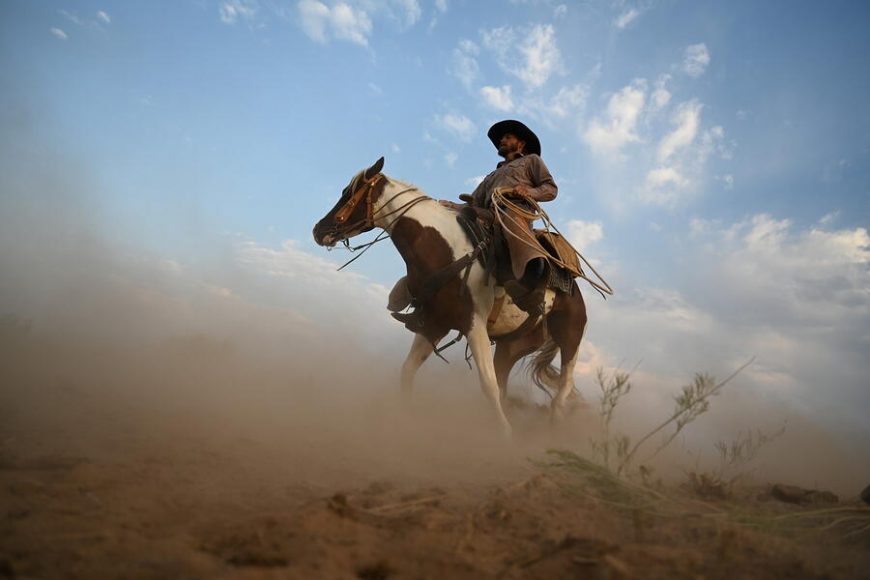 Best Nikon Camera For Sports Photography Ehab Photography