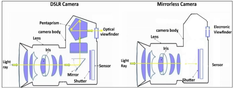 What is the Shutter Count of Camera?