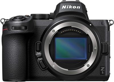 best affordable mirrorless cameras