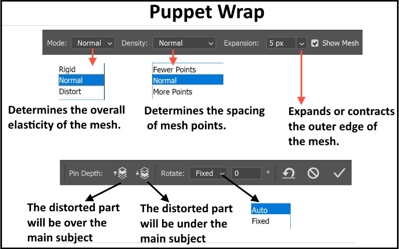 How to Use Puppet Warp in Photoshop